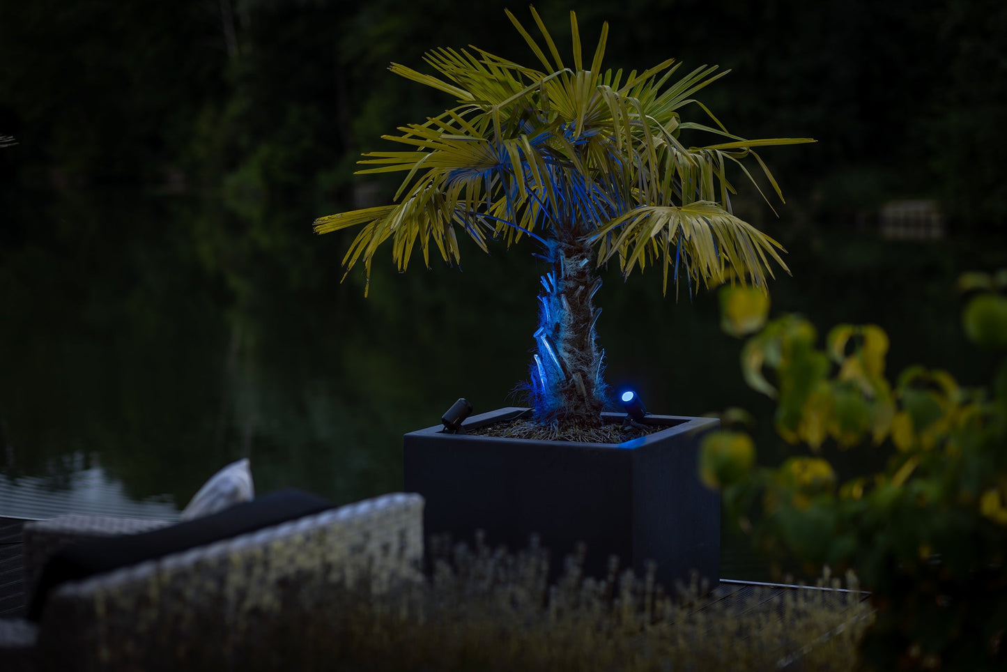 Lightpro 12V Castor SMART Low Voltage 5W IP44 Spotlight