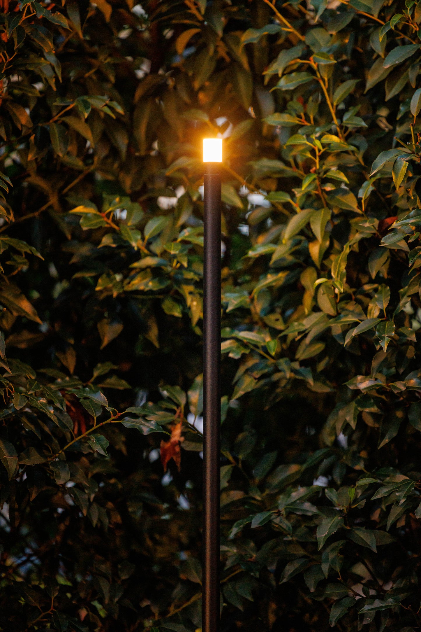 Lightpro 12V Erba Mid Low Voltage 1.2W IP44 Post Light