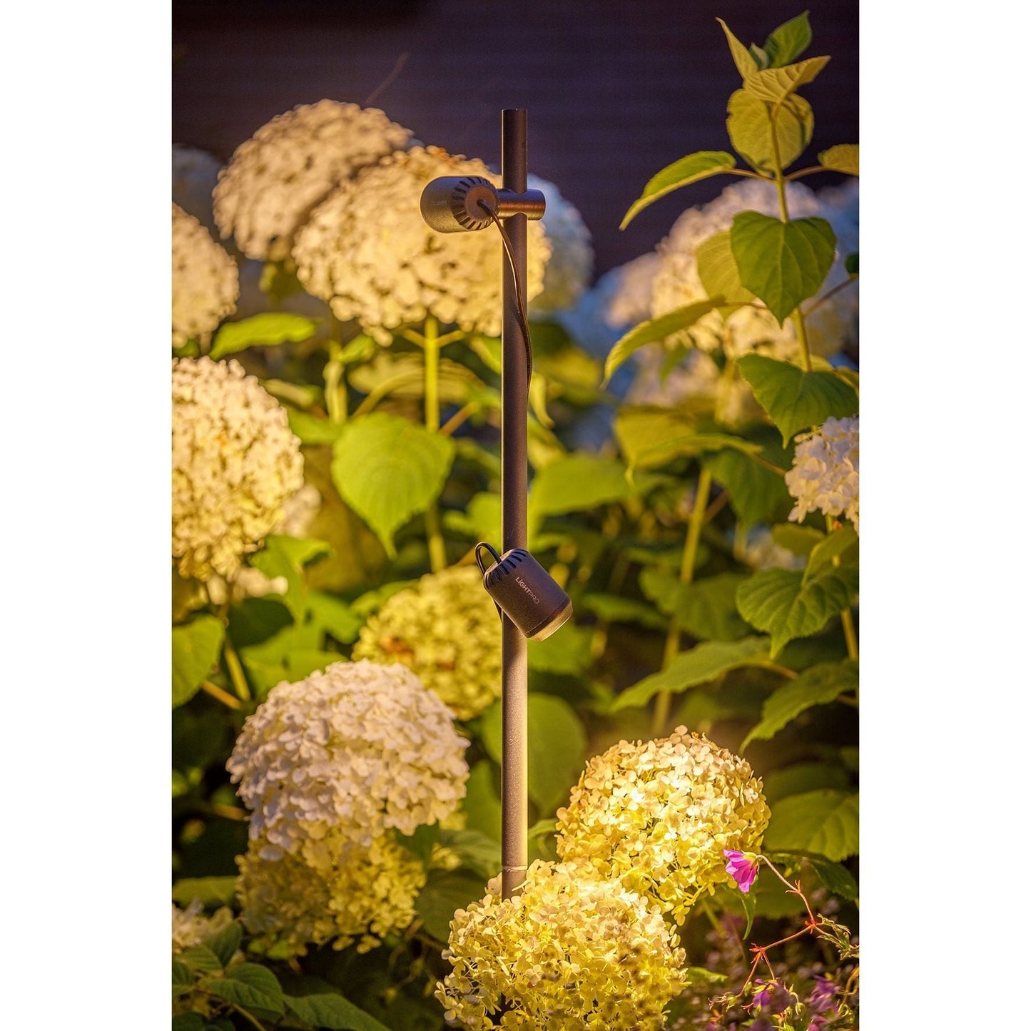 Lightpro 12V 4W Juno Tube Spotlight