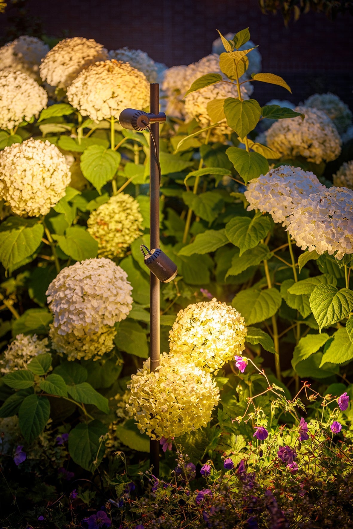 Lightpro 12V 4W Juno Tube Spotlight