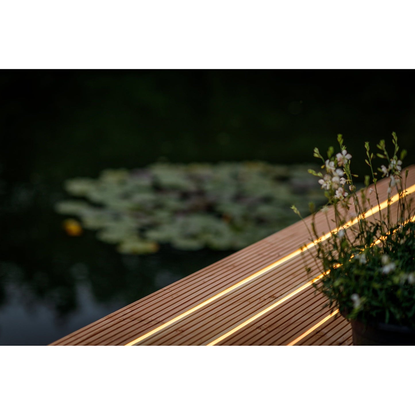 Lightpro 12V LED Strip - 15 mtrs