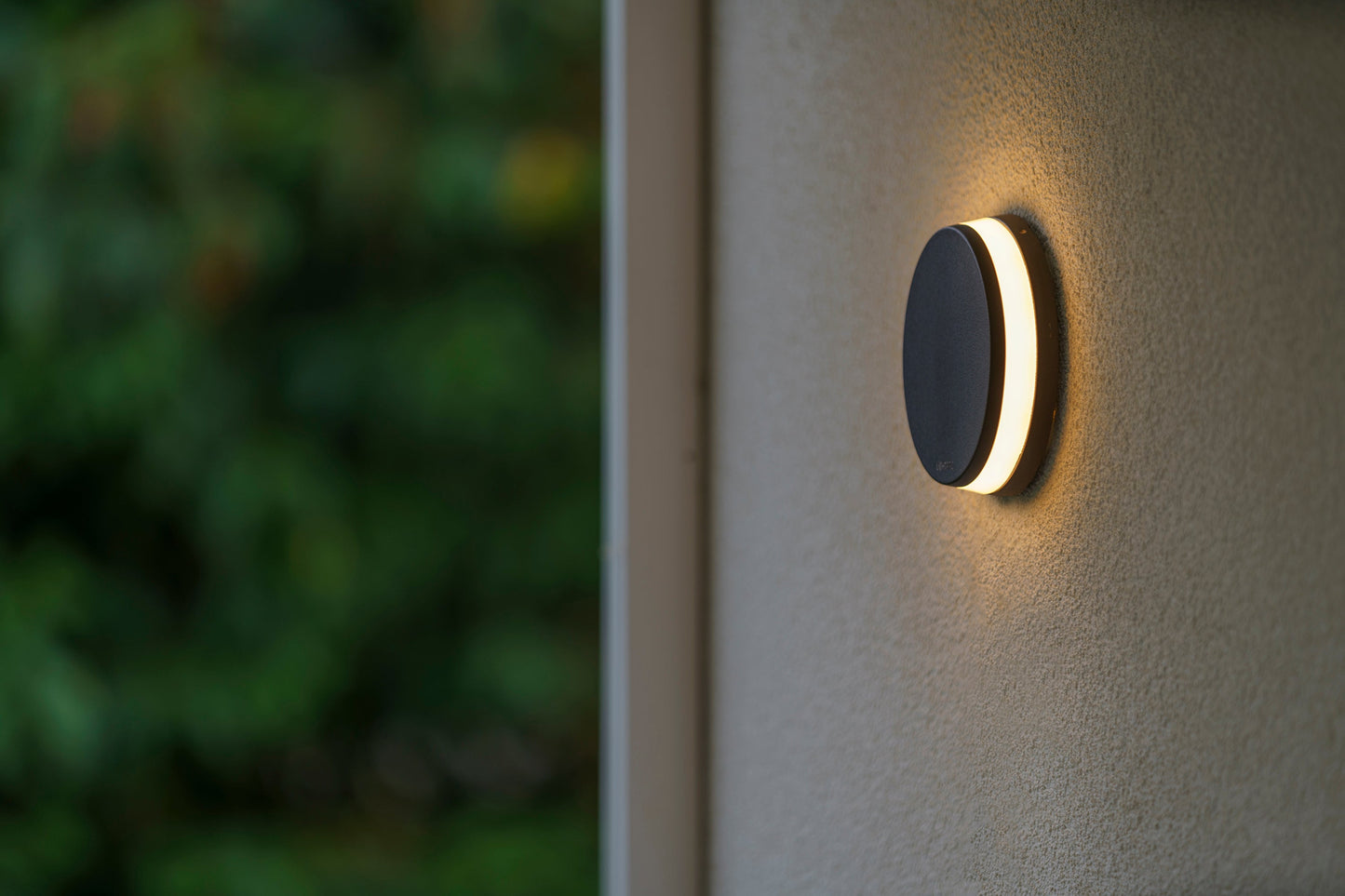 Lightpro 12V Polaris 6W Wall Light