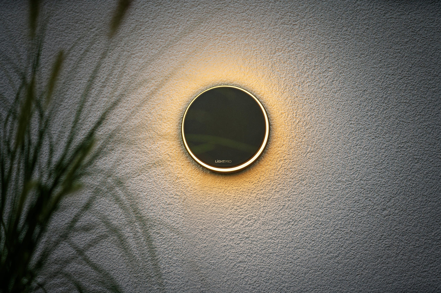 Lightpro 12V Polaris 6W Wall Light